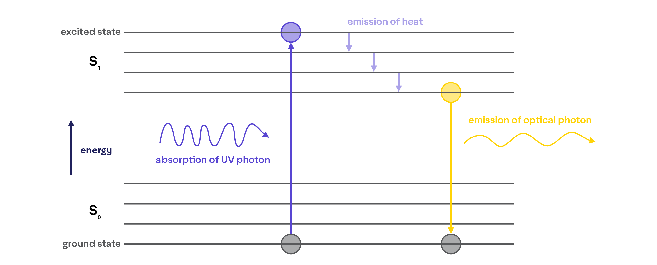 Fluorescence Avery Dennison